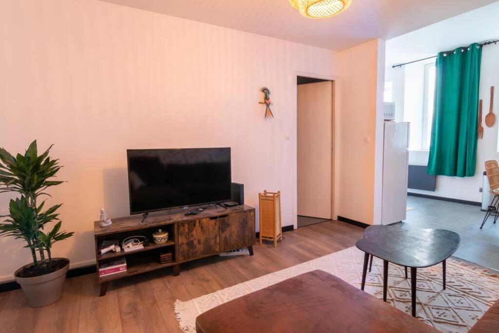 *Appartement Au Bout Du Monde Thouars* Екстер'єр фото